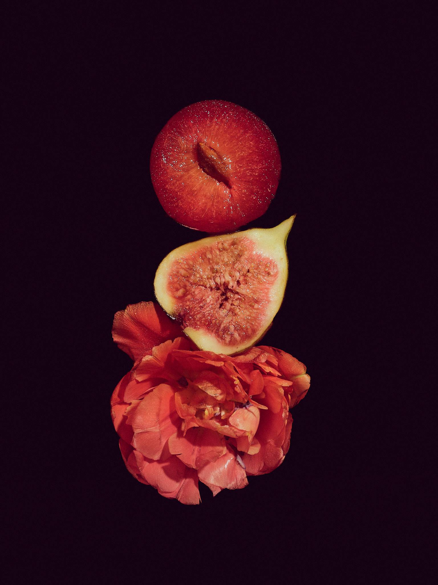 A plum, a halved fig and a red carnation stacked vertically against a deep aubergine ground.